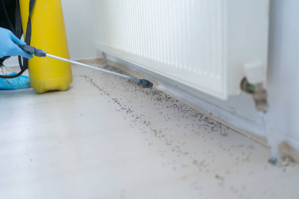 Best Emergency Pest Control  in Oak Hills, OR
