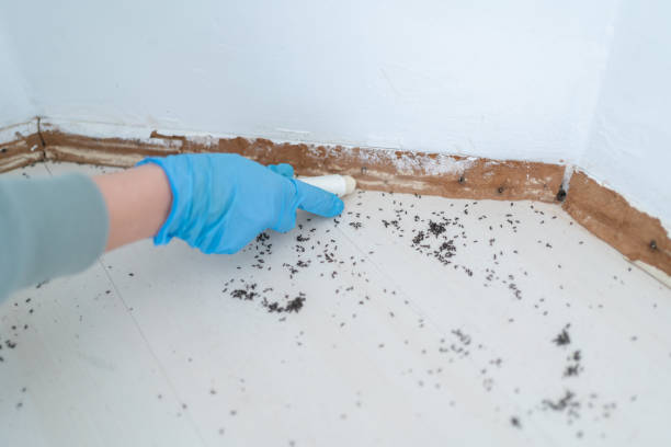 Best Wildlife Control Services  in Oak Hills, OR